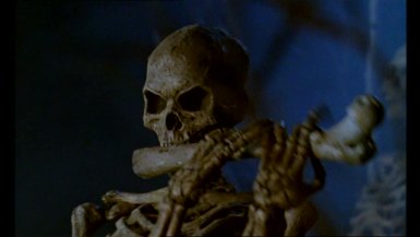 Nevermind that it has no lungs to blow with, it can still pipe a mighty fine tune